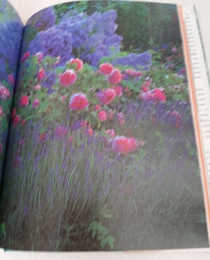New Geoff Hamiltond year in your garden book