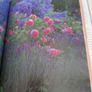 New Geoff Hamiltond year in your garden book Image 8
