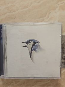 The Devlins CD - Waves