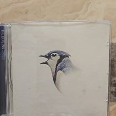 The Devlins CD - Waves