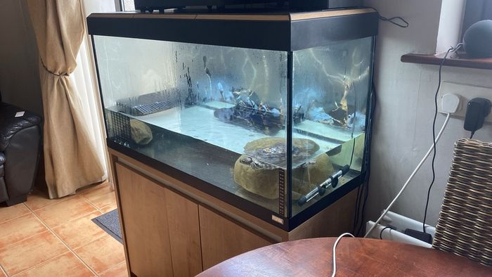fish tank
