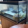 fish tank Image 2