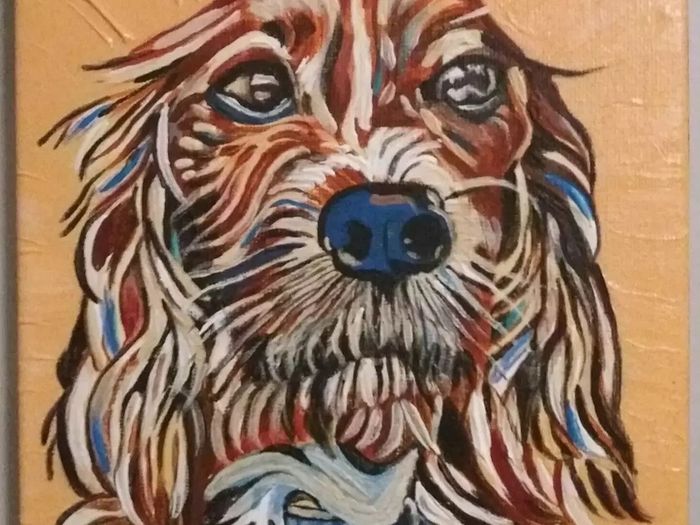 Pet Portraits