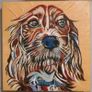 Pet Portraits Image 2