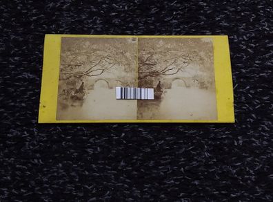 Antique Stereoview of - Lakes of Killarney - The Old Weir Bridge