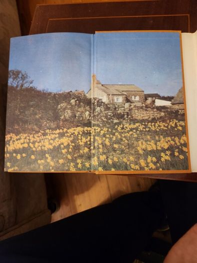 Lama  Derek Taynge. 1966 First Edition Hardback With Dustjacket 37.