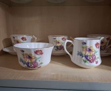 21 Piece Royal Tara Fine Bone China