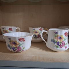 21 Piece Royal Tara Fine Bone China