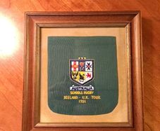 rugby momento ireland Australia