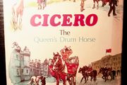 1972. Cicero. The Queens Drum Horse. James Drummond.