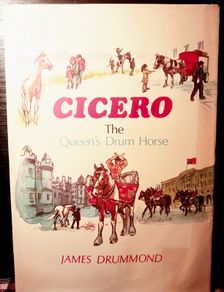 1972. Cicero. The Queens Drum Horse. James Drummond.