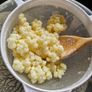 Active Milk Kefir Grains Image 2