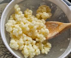 Active Milk Kefir Grains