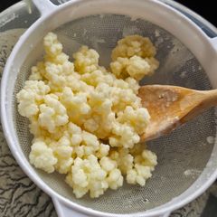 Active Milk Kefir Grains