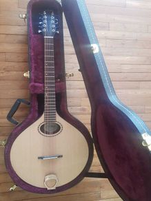 Nyberg Flat-top Mid-Scale Cittern