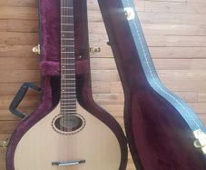 Nyberg Flat-top Mid-Scale Cittern
