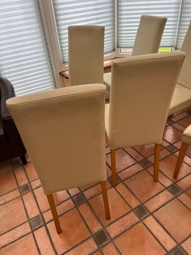 Dining Chairs