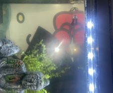 aquarium