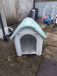 Large Plastic Dog Kennel Dog House. Good Condition