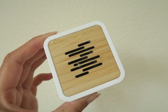 Microsoft travel speaker