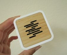 Microsoft travel speaker