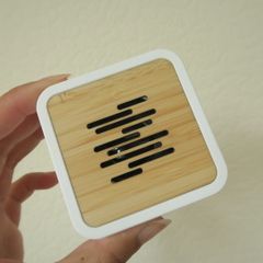 Microsoft travel speaker