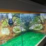 Vivarium/Terrarium Image 10