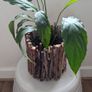 Flowering Peace Lily in Rustic Twig Pot - Galway - Pickup Only Image 3