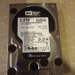 Western  digital