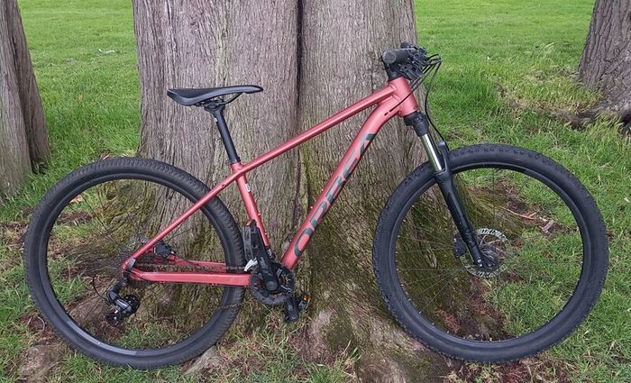 Orbea onna