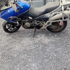 Suzuki v storm