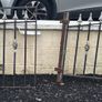 garden gates Image 2