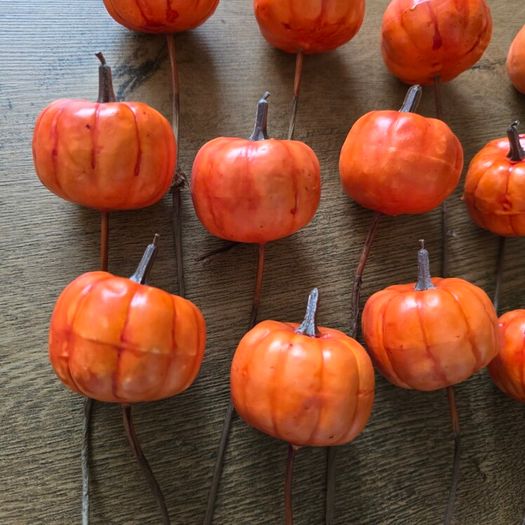 12 pumpkin picks - Halloween Autumn