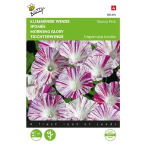 (M) Buzzy Ipomea seeds Morning Glory Venice Pink  2g (043942)