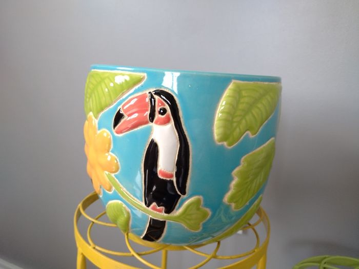 Heavy Ceramic Tropical Plant Pot