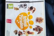 Animal Paradise