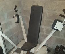 fly chest machine