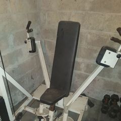 fly chest machine