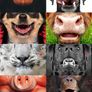 Face mask AnimalStyle Image 3
