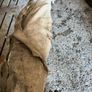 Rare antique Quilt table top stretcher. Image 7