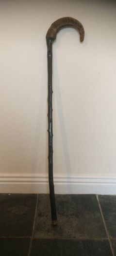 Antique Cane