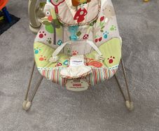 Free - Fisher Price Baby Bouncer