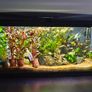 Ciano 76 litre tank Image 2