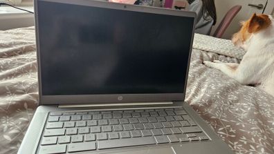 HP chromebook