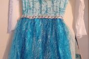 Elsa Disney dress