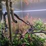 Chihiros stainless steel jet pipes Image 2