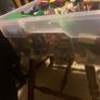 Large box of Lego Image 2