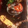 Free snails Image 3
