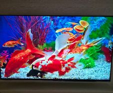 55" Lg Uhd Tv