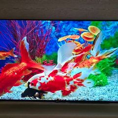 55" Lg Uhd 4k Tv